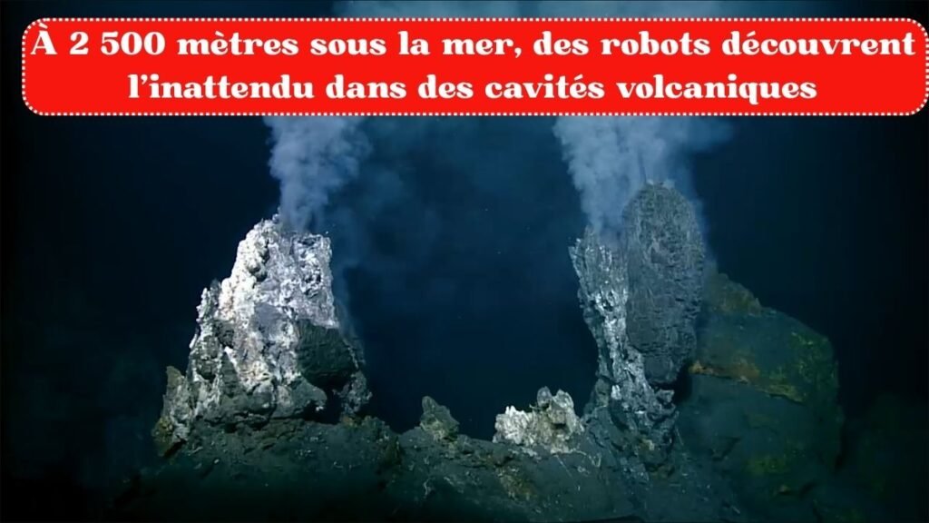 À 2 500 mètres sous la mer, des robots découvrent l’inattendu dans des cavités volcaniques