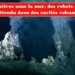 À 2 500 mètres sous la mer, des robots découvrent l’inattendu dans des cavités volcaniques