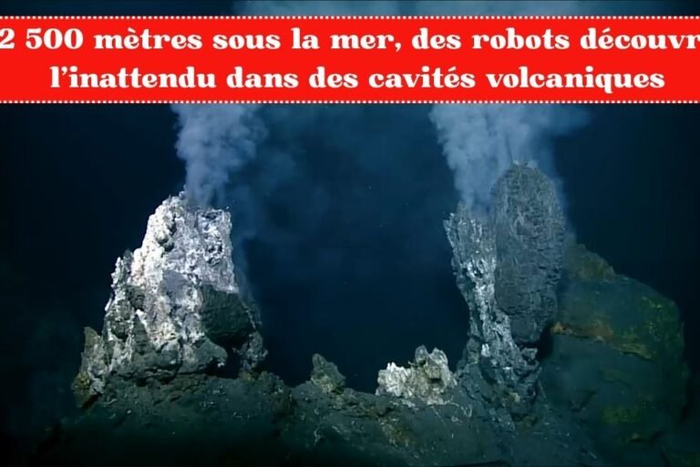À 2 500 mètres sous la mer, des robots découvrent l’inattendu dans des cavités volcaniques