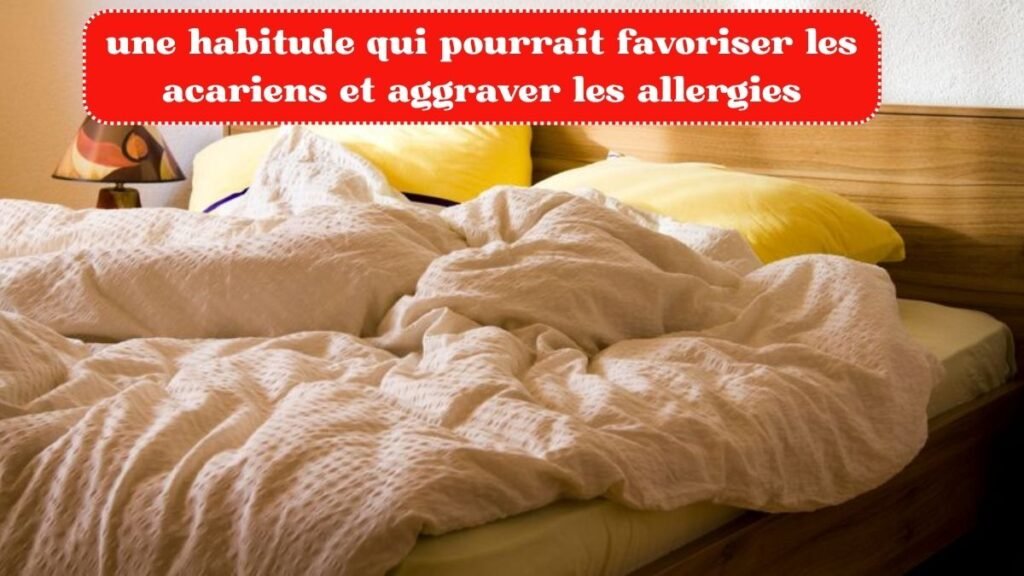 une habitude qui pourrait favoriser les acariens et aggraver les allergies
