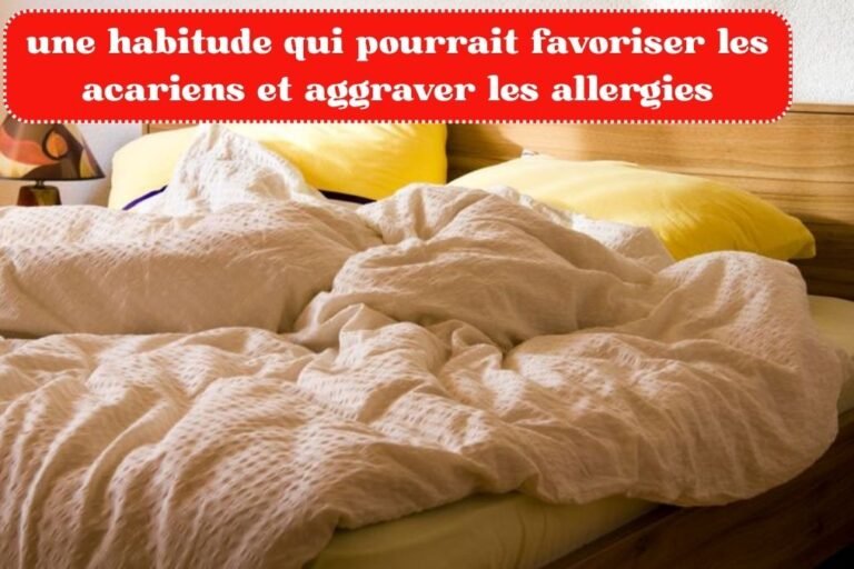 une habitude qui pourrait favoriser les acariens et aggraver les allergies